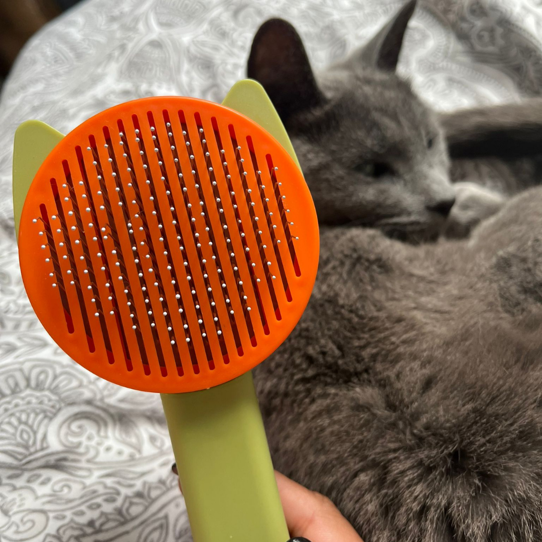 Russian Blue Cat with Lime Green and Orange Pet Grooming Brush