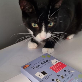 Cat with New Kitten Paw Print Kit