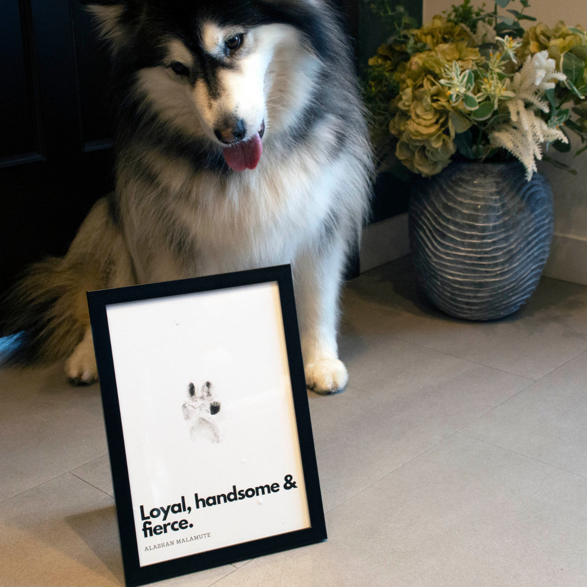 Siberian Husky: Personalised Pet Paw Print Framed in Black (A4)