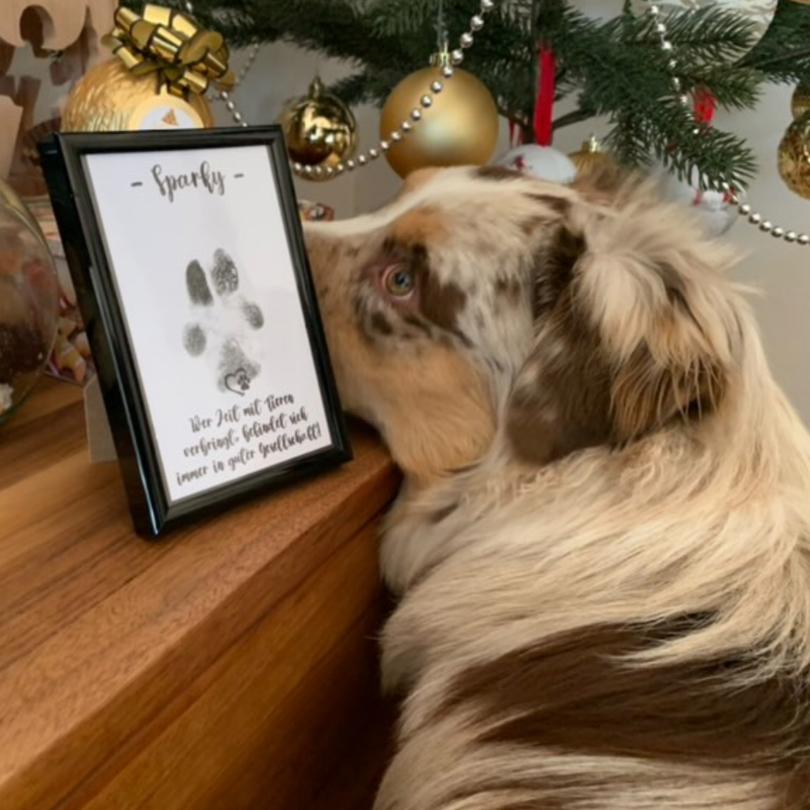 Personalised Paw Print of Pet Dog, Framed in Black (4x6)