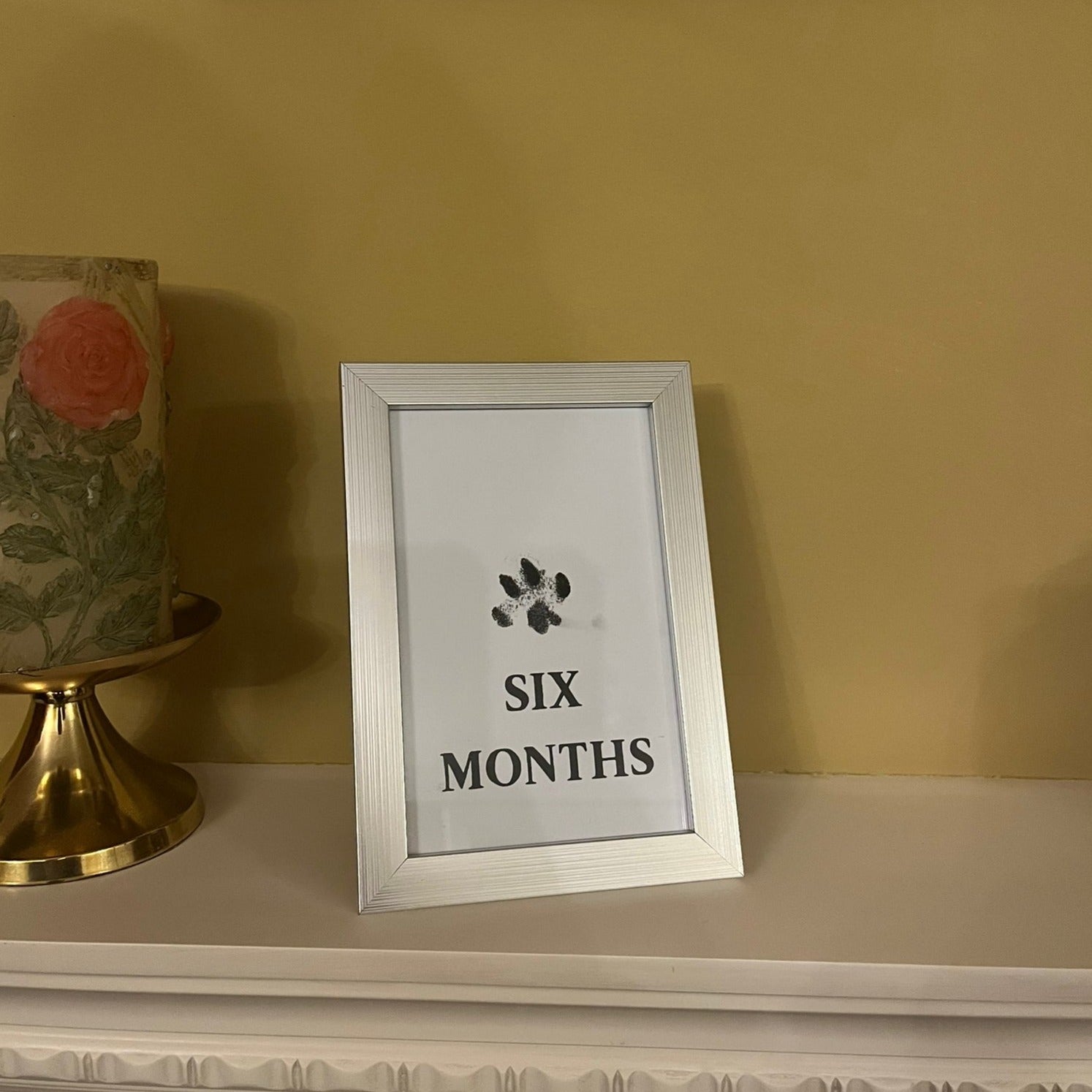 Six Months Paw Print Framed on Mantle Piece