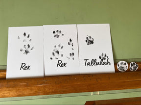 Personalised Pet Paw Print Stamps