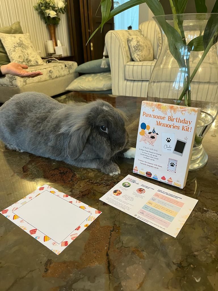 Rabbit with Pawsome Birthday Pet Kit, Ready for Paw Print