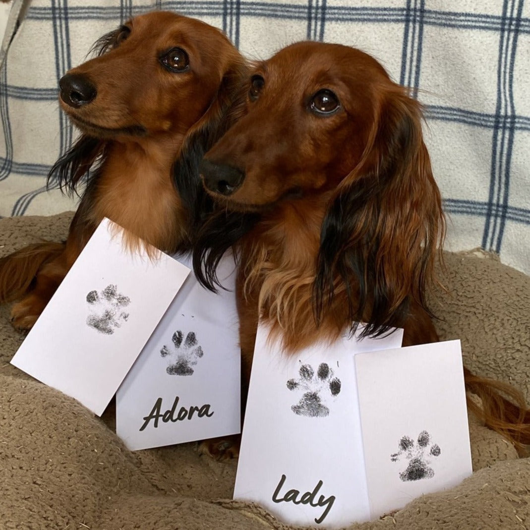 2 Pet  Dachshund dogs with Name Personalised Paw Print Stamps