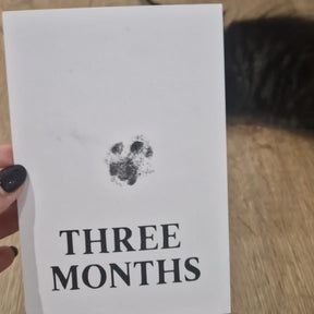 Three Months Cat Paw Print