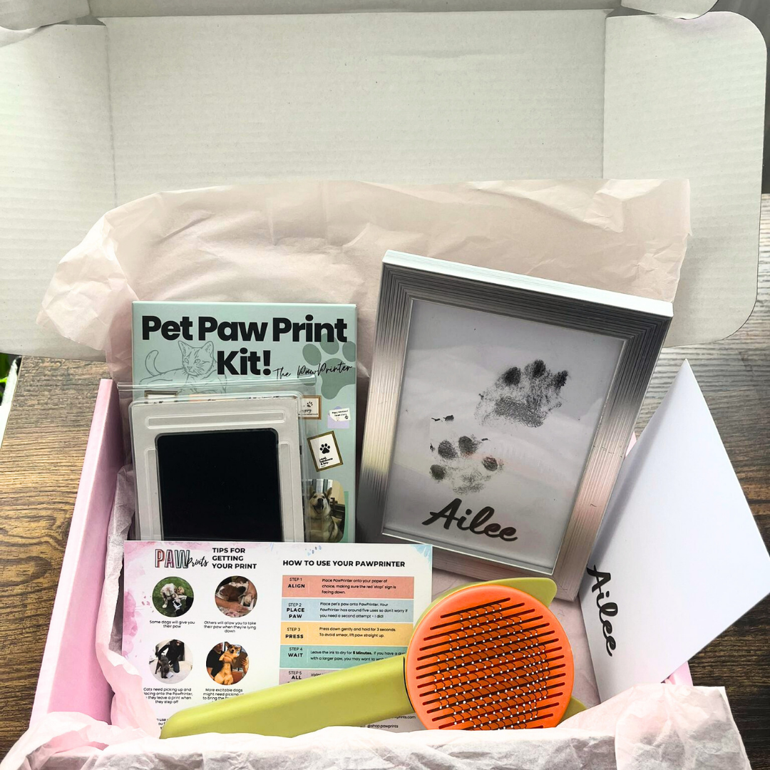 Personalised Pet Gift Box: Includes Pet PawPrint Kit, Pet Grooming Brush and Frame 