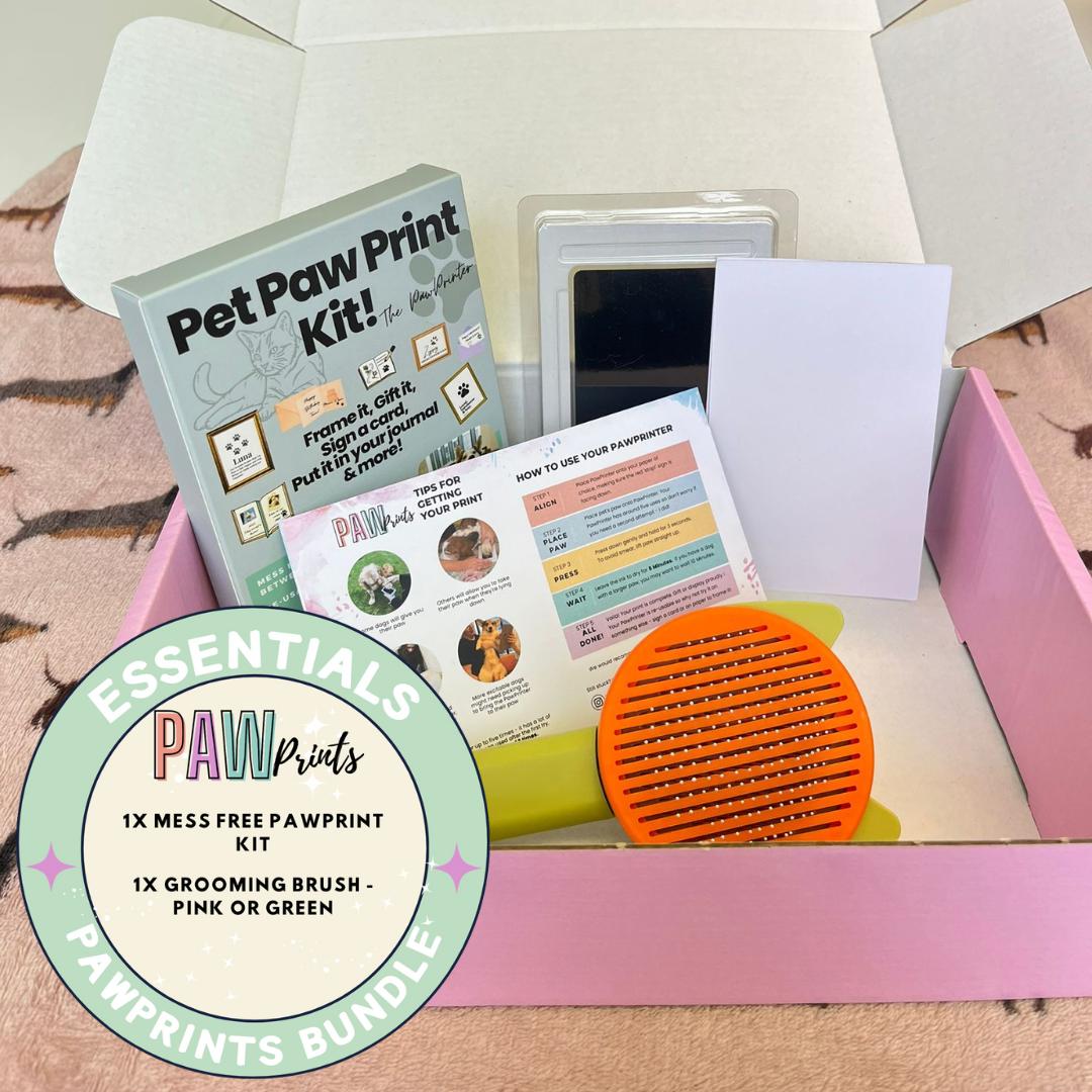 Essentials Gift Box: PawPrint Kit &  Grooming Brush