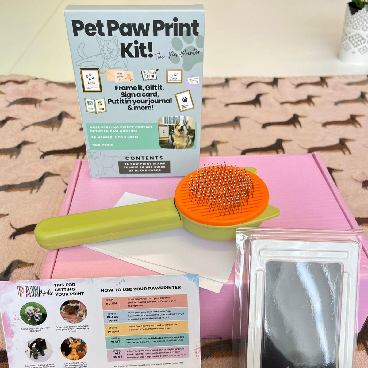 Essentials Gift Box: Pink Box, Orange & Green Grooming Brush, Original PawPrint Kit