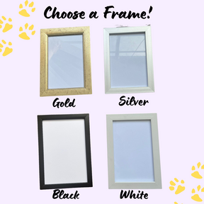 Frame Color Options: Gold, Silver, Black, and White